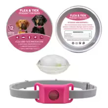 Collier anti puce chien | Naturel aux huiles essentielles
