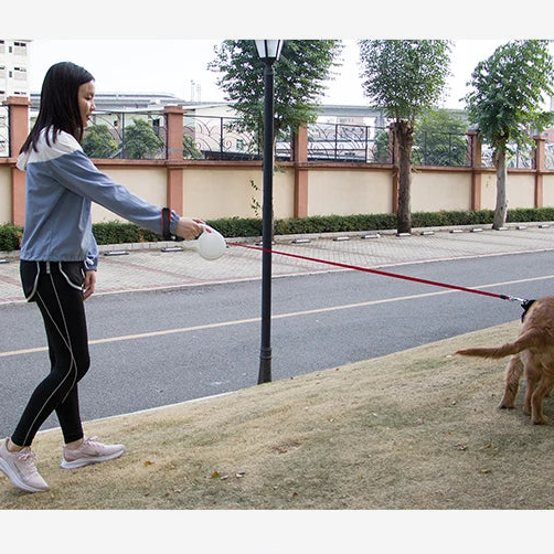 Laisse mains libres pour chiens | Ultra-résistante