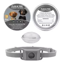 Collier anti puce chien | Naturel aux huiles essentielles