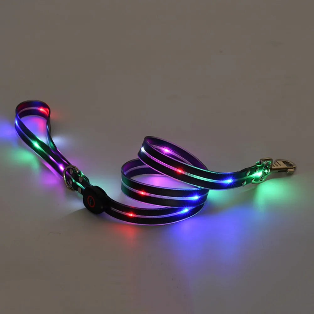 Collier lumineux pour chien | NightGuard