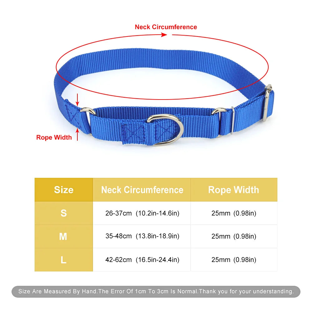 Collier de dressage pour chien- Martingale Plus