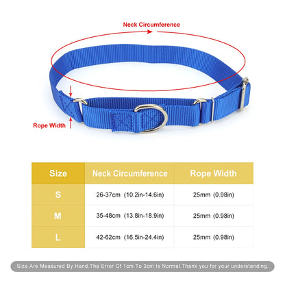 Collier de dressage pour chien- Martingale Plus
