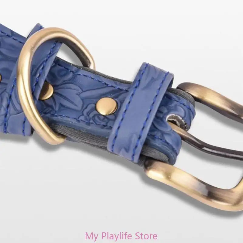 Collier chien cuir | Élégance Confort