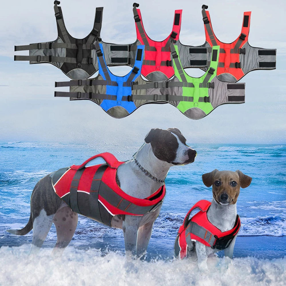 Gilet de sauvetage pour chien- Buoyancy