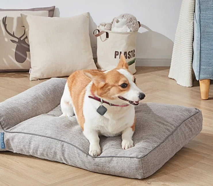 Collier GPS chien- Smart Tag Global Locator