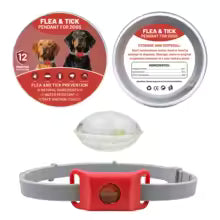Collier anti puce chien | Naturel aux huiles essentielles