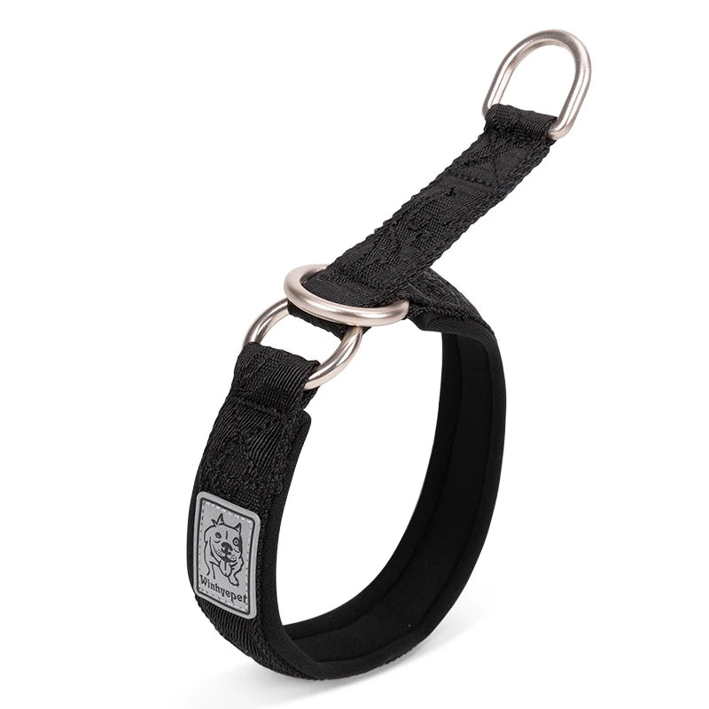 Collier de dressage pour chien- TRUELOVE P-chain