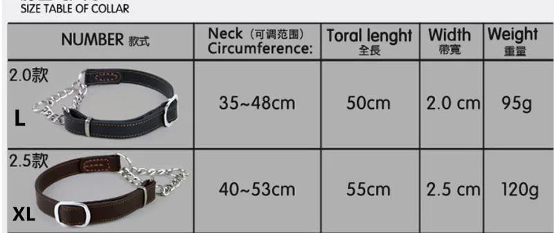 Collier pour chien cuir | Martingale Élégance