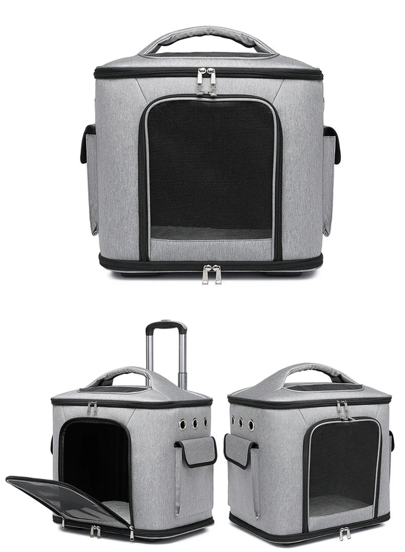 Caisse de transport chien- Suitcase Portable Travel