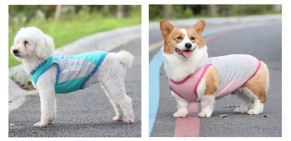 veste chien | Rafraîchissante Anti-UV