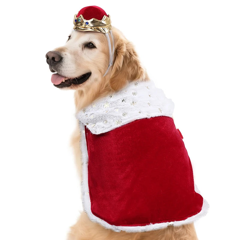 Déguisement chien pour Halloween Royal