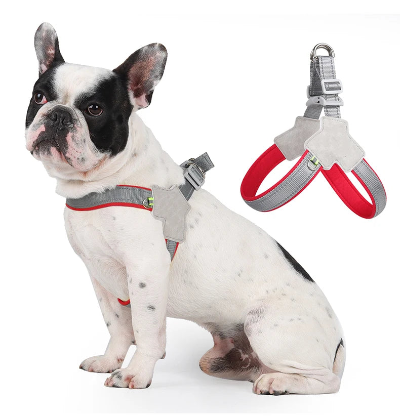 Harnais chien anti traction- Holapet