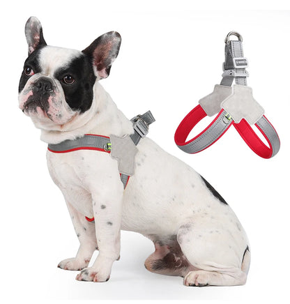 Harnais chien anti traction- Holapet