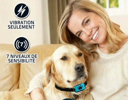 Collier de dressage pour chien- Vibration Anti Bark