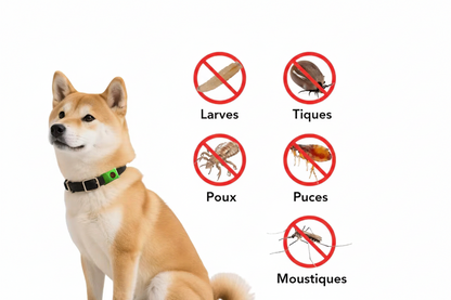 Collier anti puce chien | Naturel 45 jours