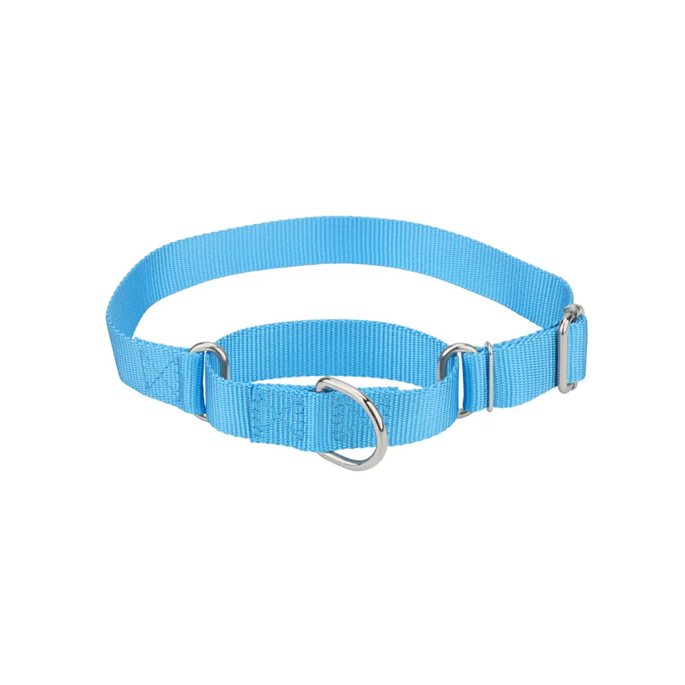 Collier de dressage pour chien- Martingale Plus
