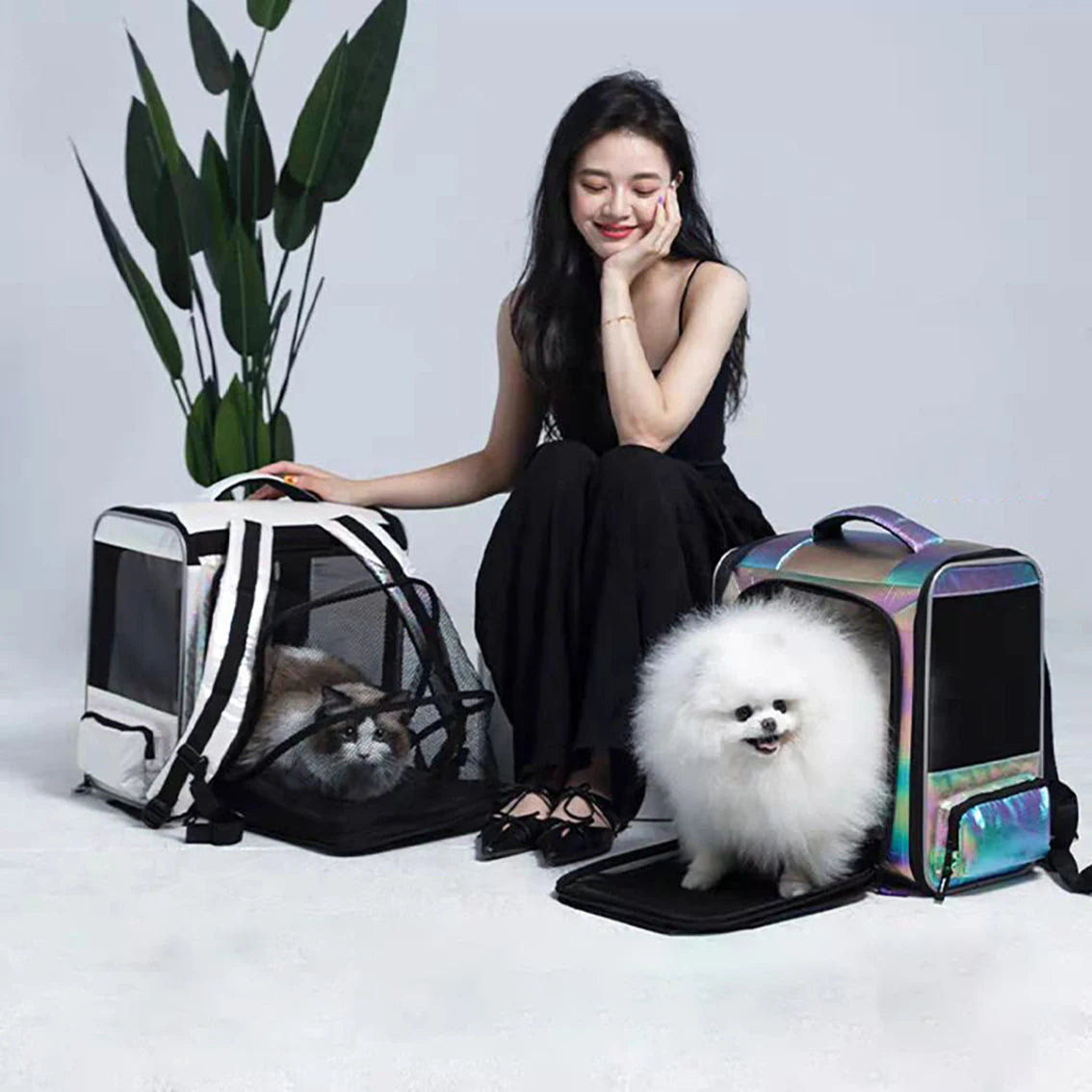 Sac a dos pour chien- EDENPETZ Fashion
