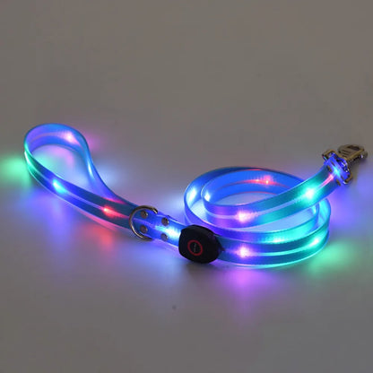 Collier lumineux pour chien | NightGuard