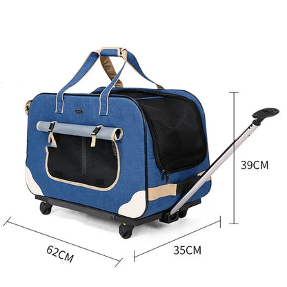 Poussette pour chien- Transporteurs Convertible 4 roues