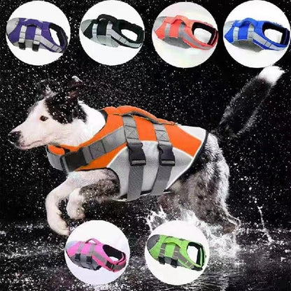 Gilet de sauvetage pour chien- Buoyancy