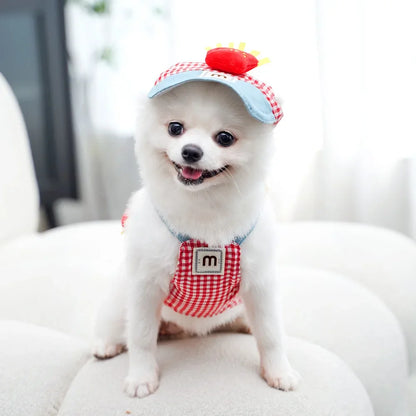 Harnais pour petit chien | Confort Premium
