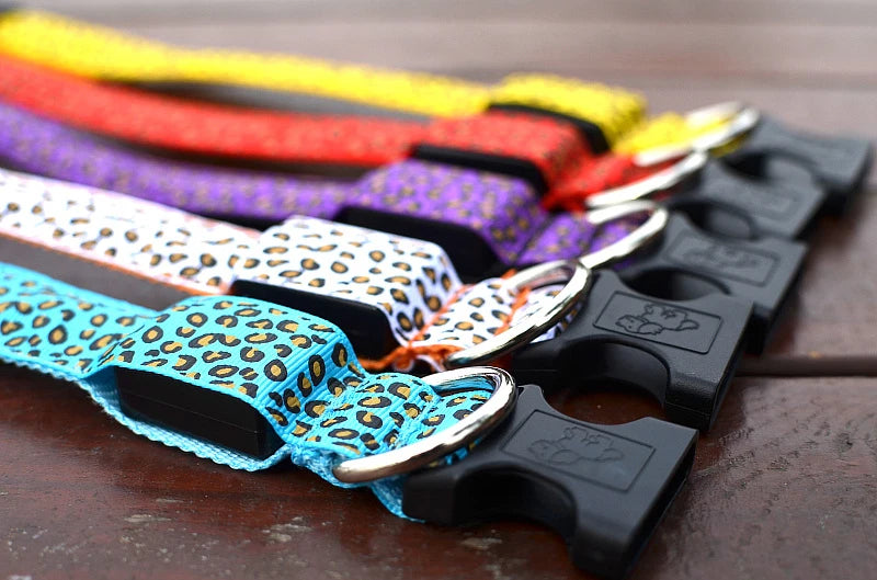 Collier chien lumineux-Léopard LED