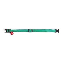 Collier anti puce chien | Protection Confort Vert