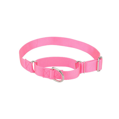 Collier de dressage pour chien- Martingale Plus