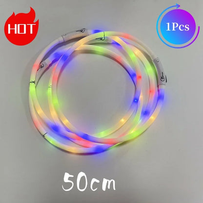 Chien collier lumineux | LED Rechargeable 360°