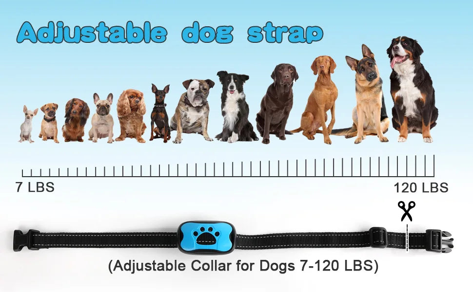 Collier de dressage pour chien- Vibration stop aboiement