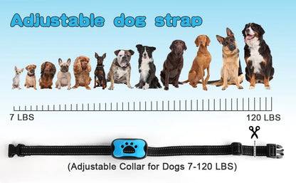 Collier de dressage pour chien- Vibration stop aboiement