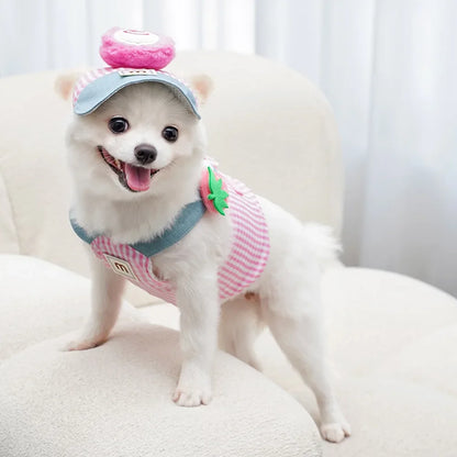 Harnais pour petit chien | Confort Premium
