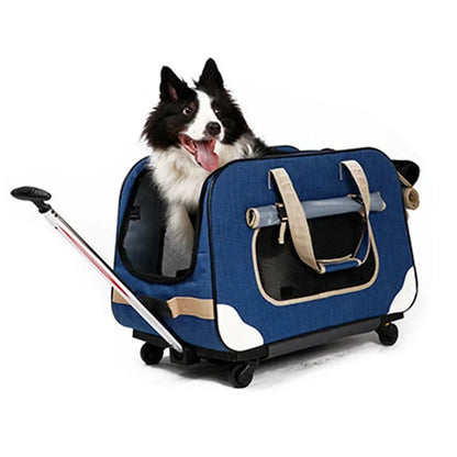 Poussette pour chien- Transporteurs Convertible 4 roues