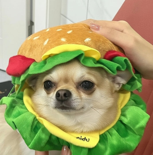 DEGUISEMENT CHIEN- Hamburger Collar