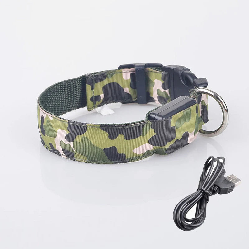 Collier chien lumineux-Camouflage LED