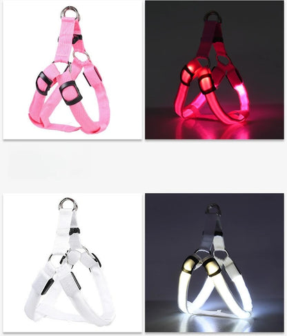 Harnais chien anti traction | Lumineux LED
