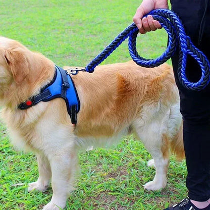 Laisse de chien- HATELI Rope