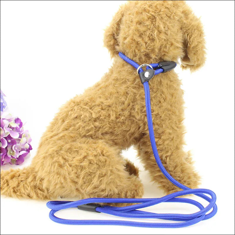 Laisse pour chien- Dog Strap Rope