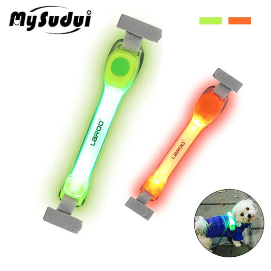 Collier lumineux chien | VisiBright