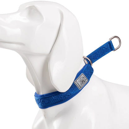 Collier de dressage pour chien- TRUELOVE P-chain