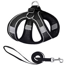 Harnais chiot | Comfort Secure