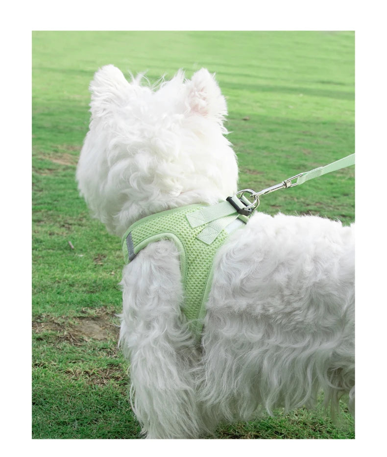 Harnais chien- Breathable Waffle Pet Set
