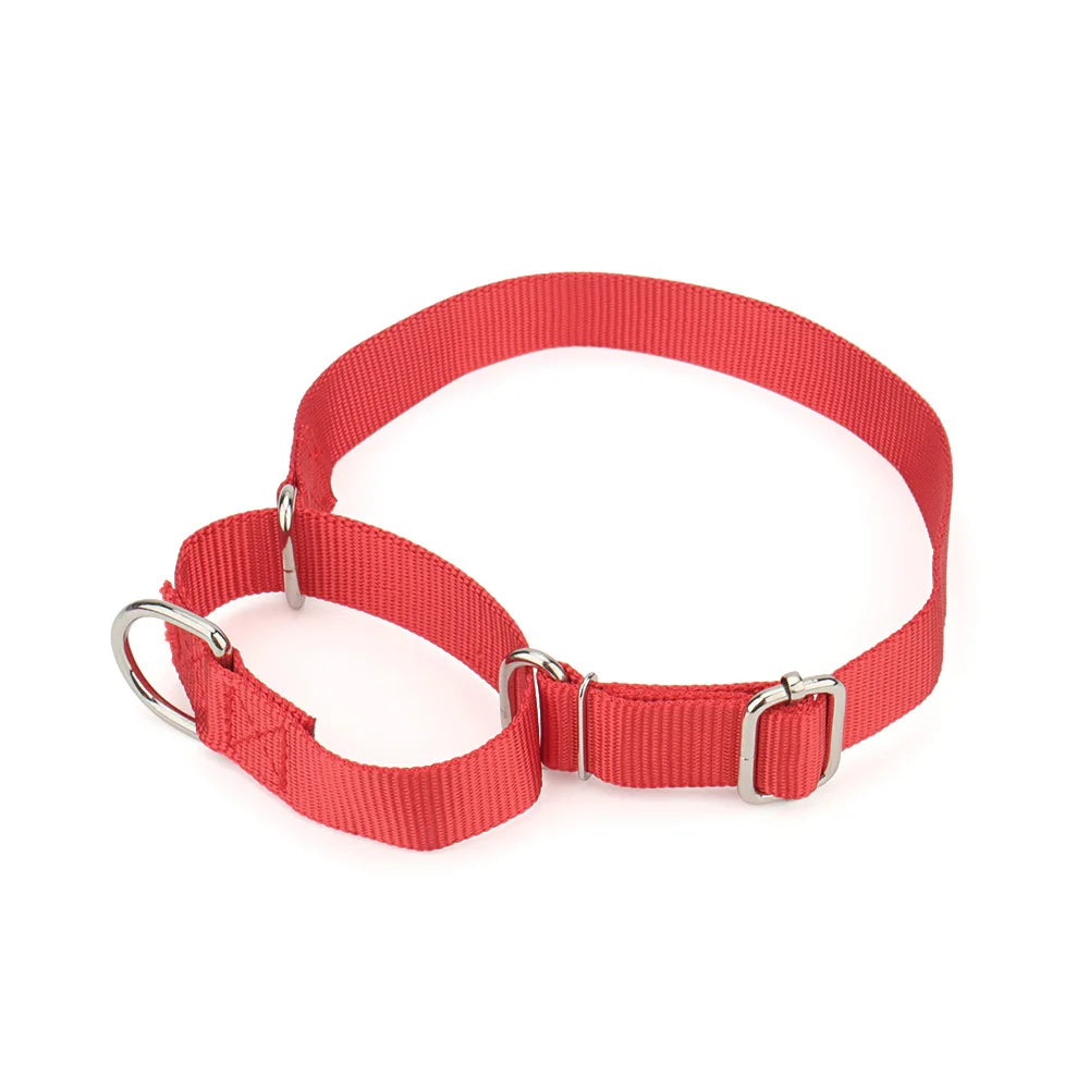Collier de dressage pour chien- Martingale Plus