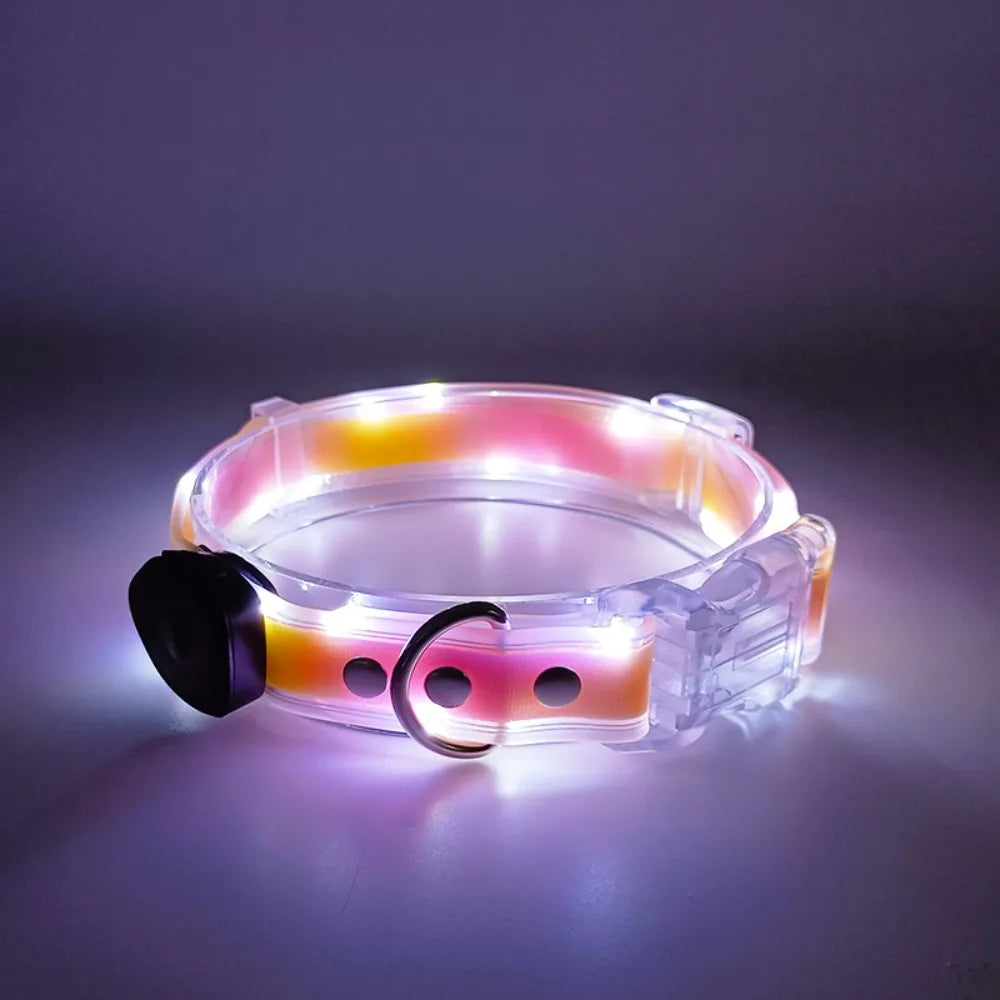 Collier lumineux pour chien | NightGuard