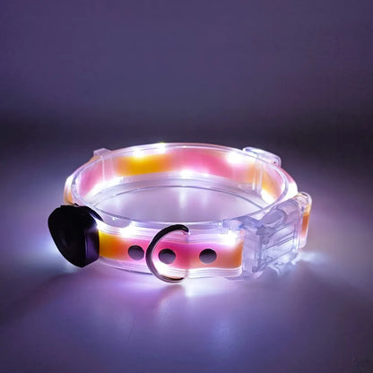 Collier lumineux pour chien | NightGuard