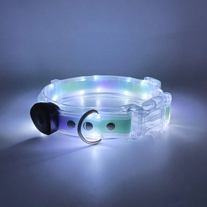 Collier lumineux pour chien | NightGuard
