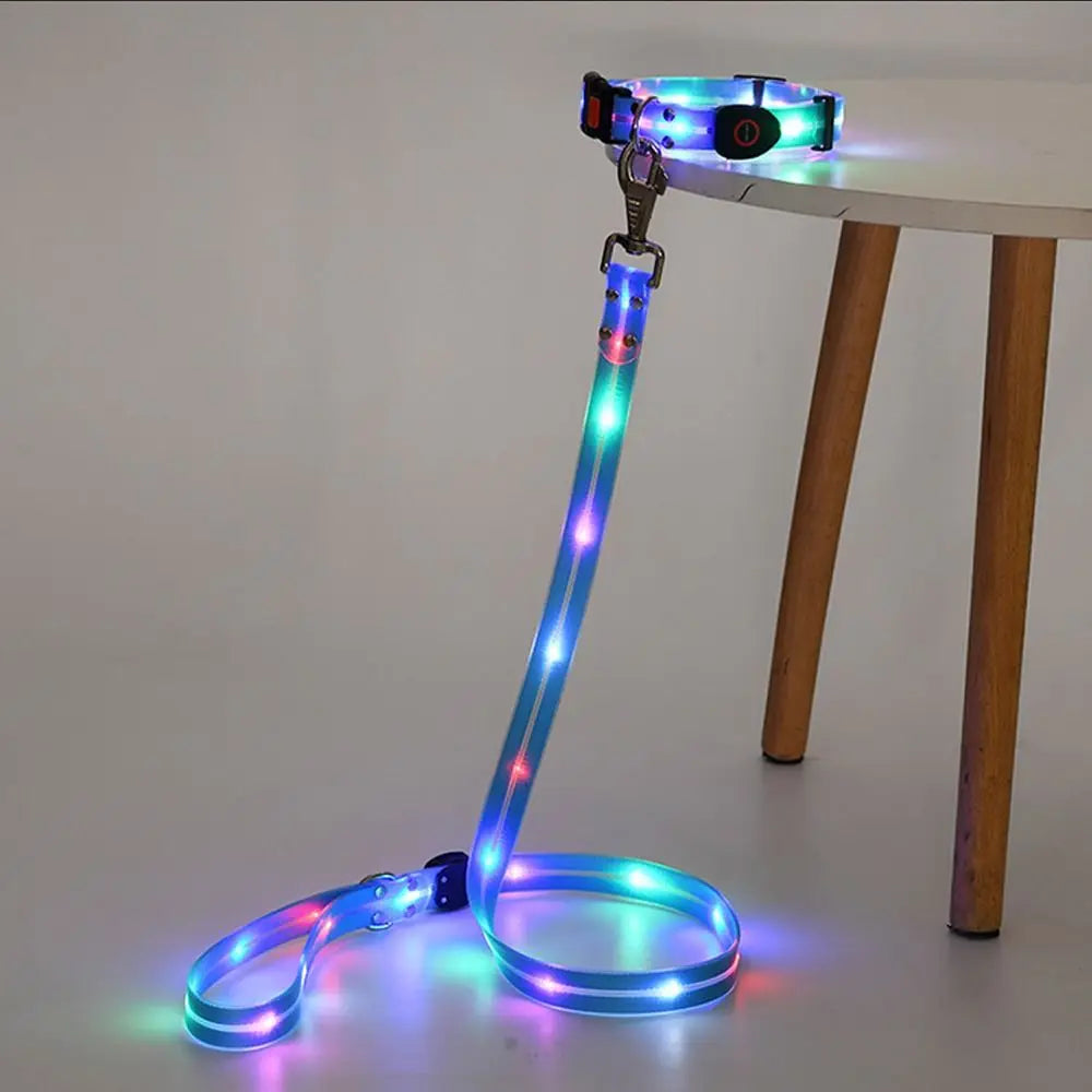 Collier lumineux pour chien | NightGuard