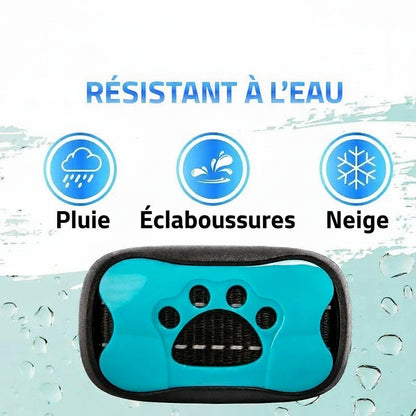 Collier de dressage pour chien- Vibration Anti Bark