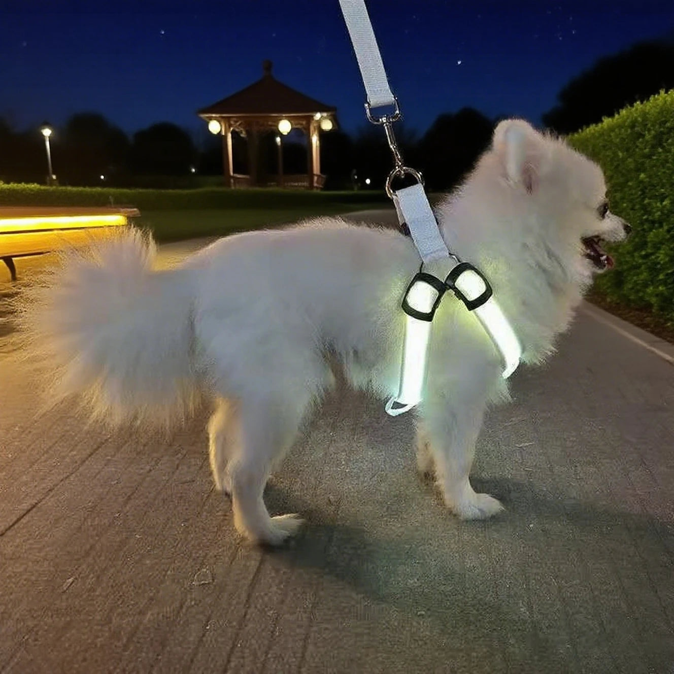 Harnais chien anti traction | Lumineux LED