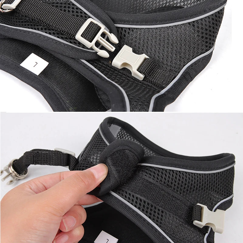 Harnais chien- CDDMPET Set Outdoor
